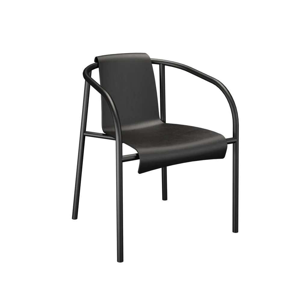 Monocolor Frame and Seat Black