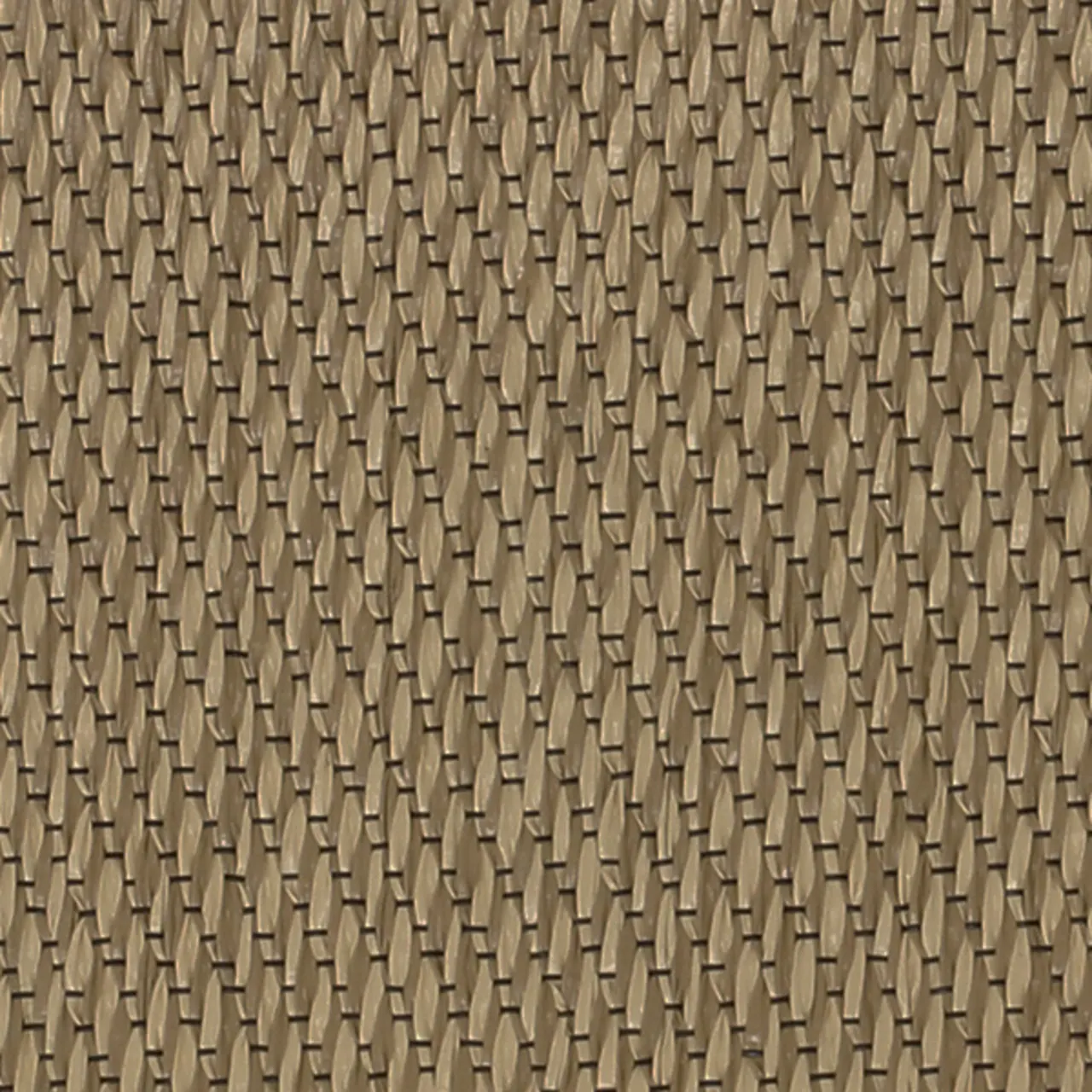 Synthesis | Summer Seagrass