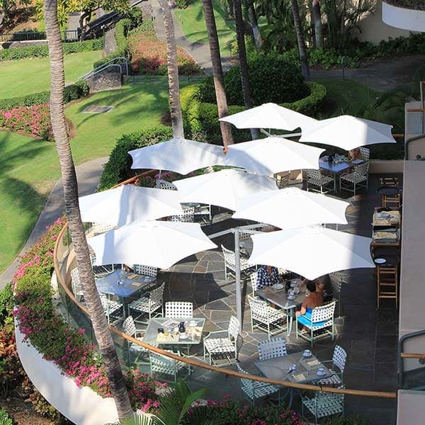 protected from the tropical sun: umbrosa paraflex flexible umbrella with multiple arms