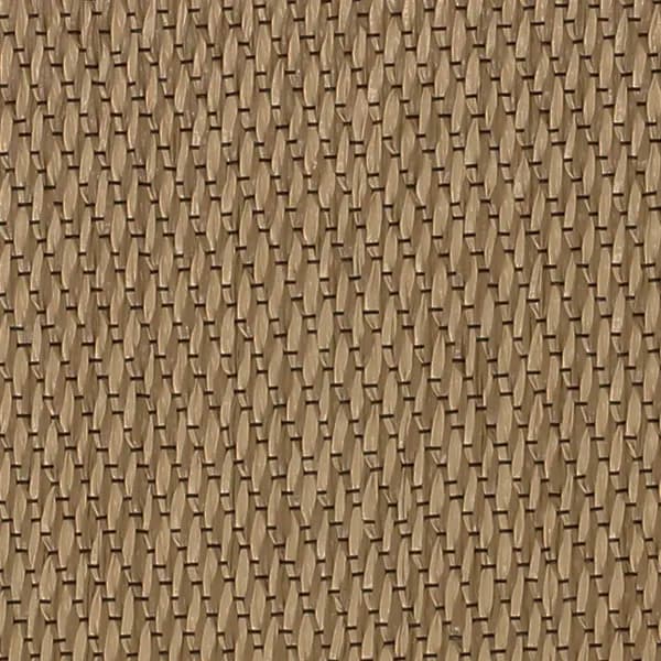 Synthesis | Summer Seagrass