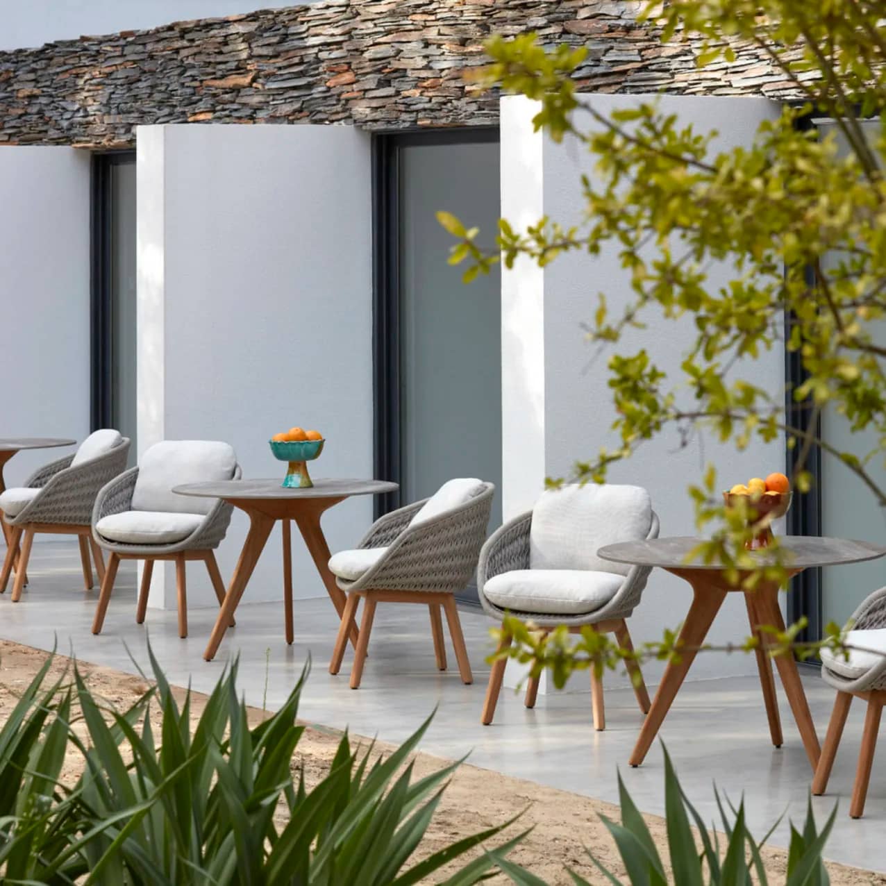 Sandua Dining Armchairs [Natural teak, Pepper rope}