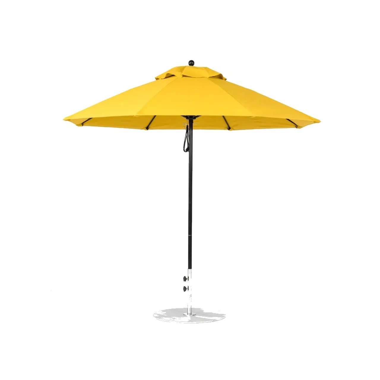 Canvas Sunflower Yellow