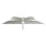 Umbrosa Multi Spectra Cantilever Umbrella | Solidum, Grey