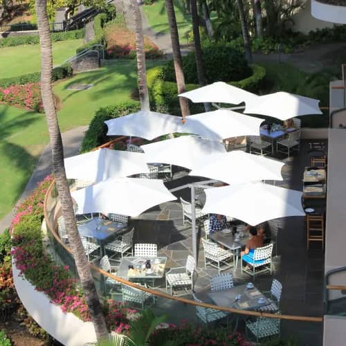 Umbrosa Paraflex 8'10" Mono Umbrella | Solidum, Natural Fabric